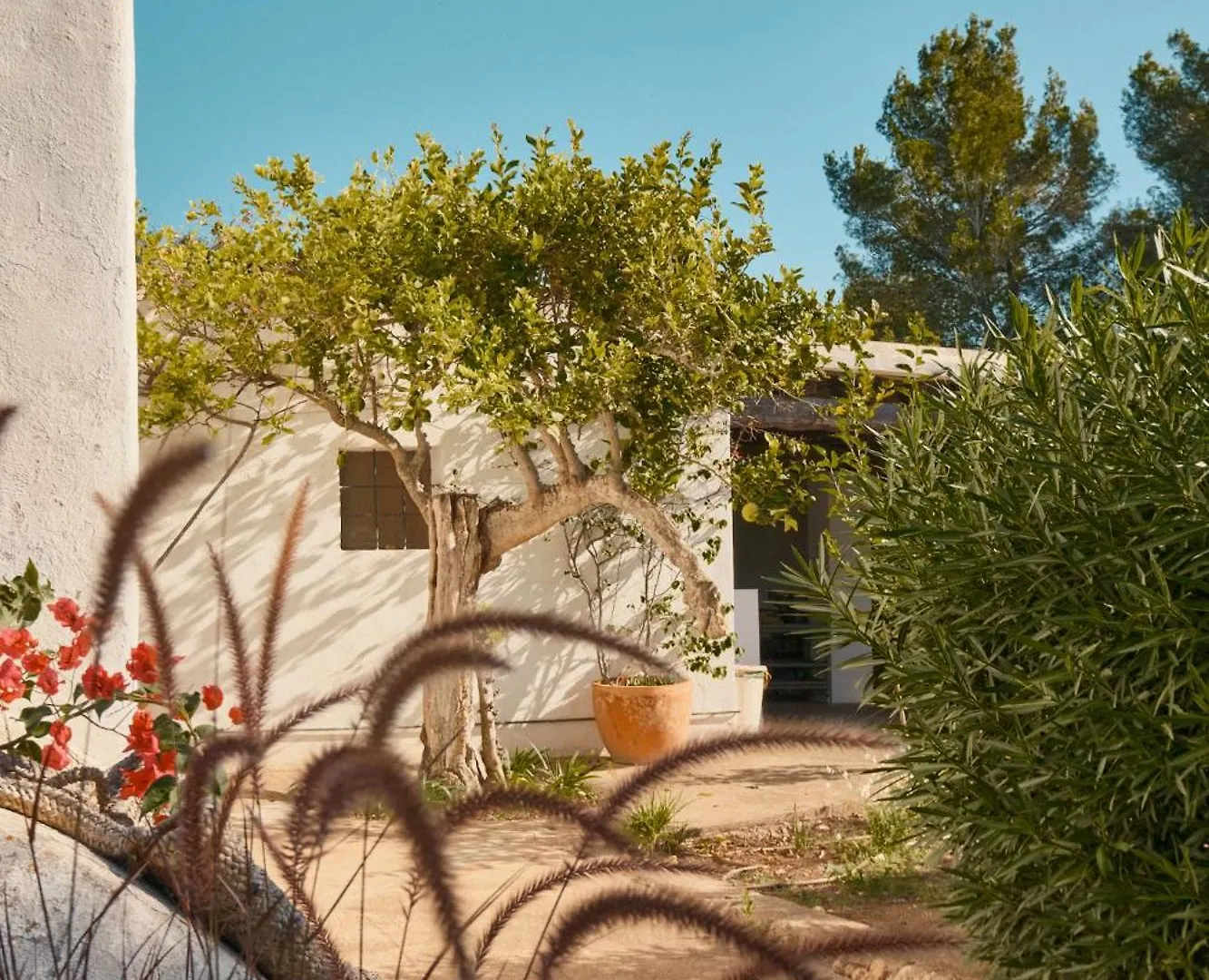 Отель The Guardian House Santa Gertrudis